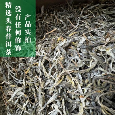 2025年新茶云南普洱茶袋装500g普洱茶生茶散茶头春茶叶大叶种茶叶图3