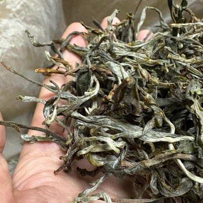 2025年新茶云南普洱茶袋装500g普洱茶生茶散茶头春茶叶大叶种茶叶图4
