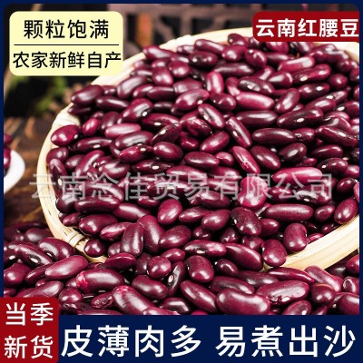 云南特产大红豆正宗红腰豆商用新货农家自种杂粮煲粥煮汤肾豆代发图4