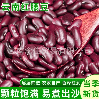 云南特产大红豆正宗红腰豆商用新货农家自种杂粮煲粥煮汤肾豆代发图3