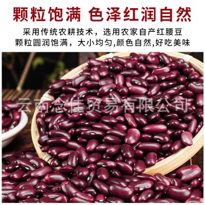 云南特产大红豆正宗红腰豆商用新货农家自种杂粮煲粥煮汤肾豆代发图5
