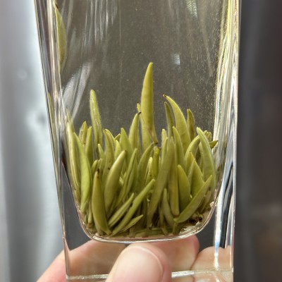 兰花茶2026年新茶四川雅安蒙顶山早春头采雪竹明前兰妃茶浓香花茶图2