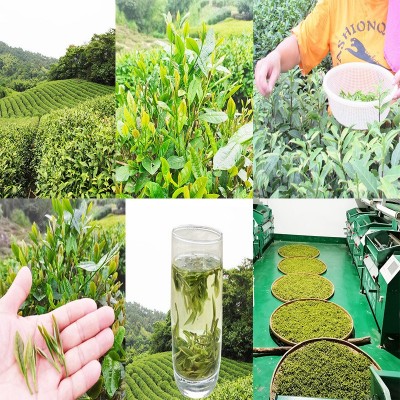 龙井茶牛皮纸包装新茶500克茶叶自己喝雨前龙井绿茶茶叶散批袋图4
