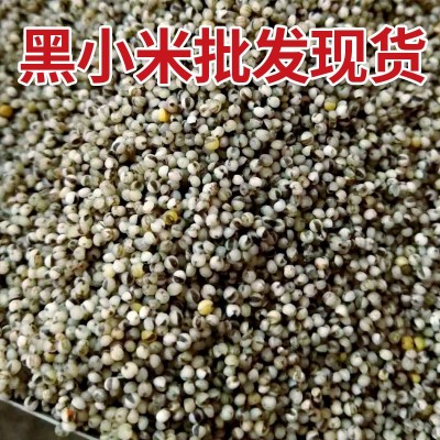 黑小米团购批发量大现货源头厂家五谷杂粮粗粮代发煮粥食材散装图3