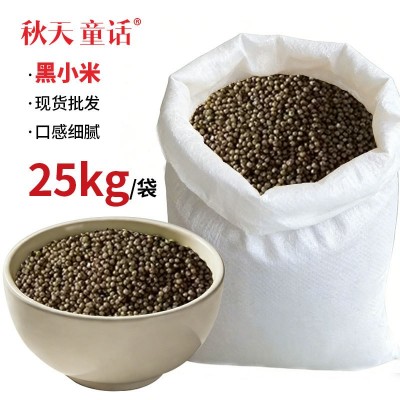 黑小米团购批发量大现货源头厂家五谷杂粮粗粮代发煮粥食材散装图2