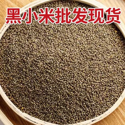 黑小米团购批发量大现货源头厂家五谷杂粮粗粮代发煮粥食材散装图5
