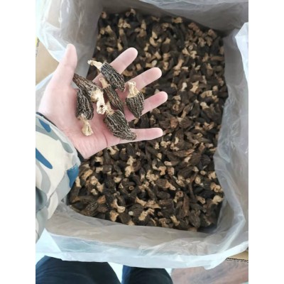 云南产地批发菌汤包羊肚菌干货250g 大号剪柄食用菌人工酒店食材图5