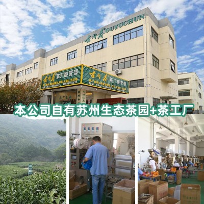 茉莉花茶特级茉莉碧螺飘雪花香浓郁散装茶叶2025新茶江苏绿茶图3