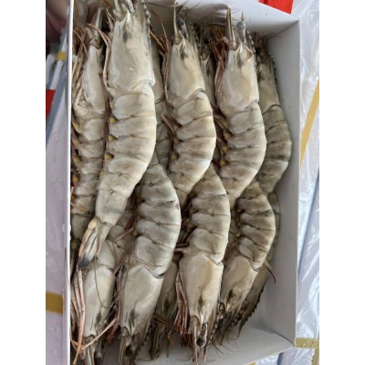 原条黑虎虾 冷冻水产 冷冻虾 餐饮食材 工厂直销 全国发货图2