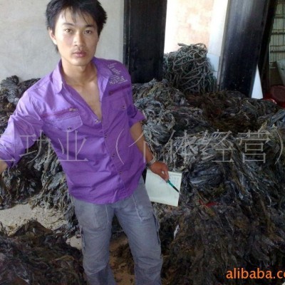 现货供应新货精装无沙晒干海带批发 挂菜 自产自销价格优惠图4