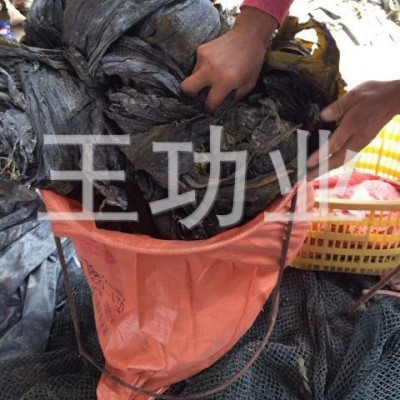 现货供应新货精装无沙晒干海带批发 挂菜 自产自销价格优惠图5