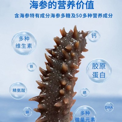 厂家批发代发FD冻干海参干海参冷水泡发直播代发海鲜图4
