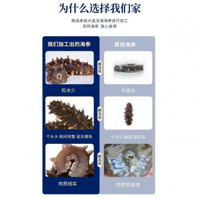 鼎鲜大连海参冻煮料 原料海参可发2-3斤即食海参 活海参厂家批发图4