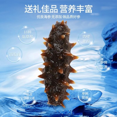 鼎鲜海参即食海参一斤500g 口感软糯 大连海参批发工厂代发无添加图2