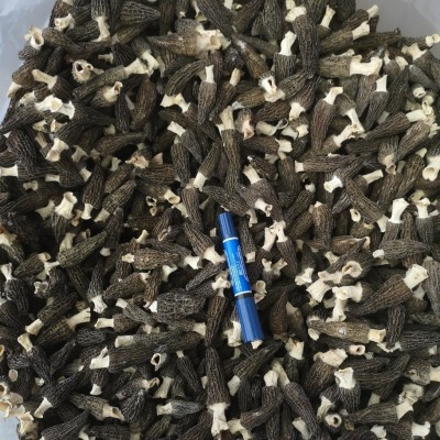 羊肚菌干货整箱批发欢迎咨询合作代发秋冬煲汤火锅食材菌汤锅干菇图5