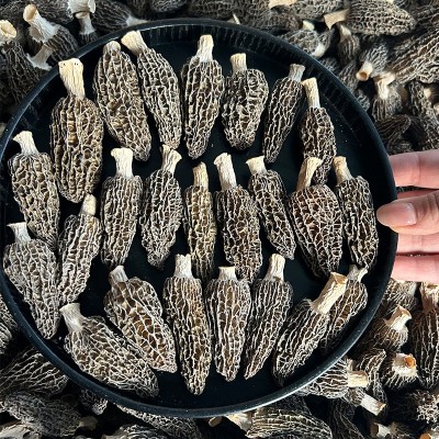 四川金堂地理标志干货羊肚菌七妹带柄散货炖鸡煲汤菌菇炒菜好食材图3