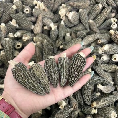 四川金堂地理标志干货羊肚菌七妹带柄散货炖鸡煲汤菌菇炒菜好食材图4