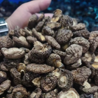 福建古田金钱菇干货批发干香菇250g香菇商用煲汤食材菌菇干货图4