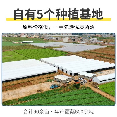 云南特产七彩菌汤包 羊肚菌竹荪菌菇包 香菇干货汤料包批发代发图5