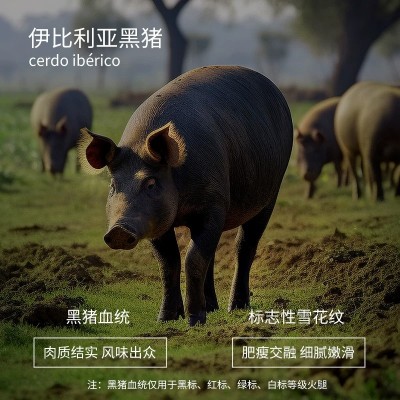 西班牙伊比利亚火腿白标绿标红标黑标黑猪后腿即食切片商用优选图2