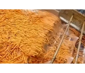 ​探寻​​胡萝卜​​的​​种植​​与加工之谜，过程让人大开眼界！​