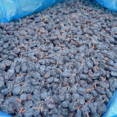 新疆黑加仑葡萄干中颗粒吐鲁番烘焙专用散装称重零食干果
