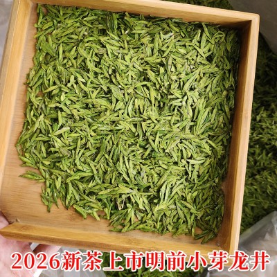 2026新茶上市明前龙井绿版小芽清香两叶一芽高山炒青绿茶500g散装