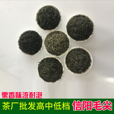 毛尖茶叶批发 雨芽峰信阳毛尖2026年新茶 茶农自产自销500克