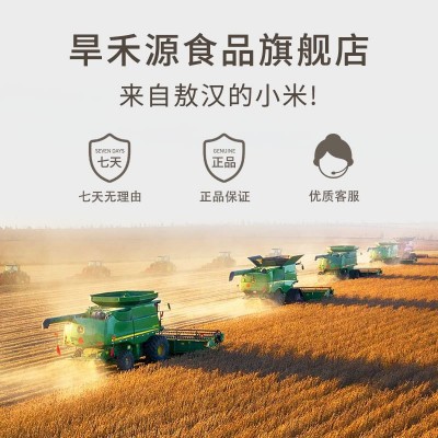 旱禾源敖汉圆糯米新鲜内蒙糯米江米酒酿包粽子米新磨糯米厂家直发