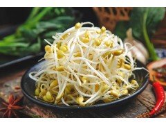 豆芽要怎么种植？豆芽的正确种植方法